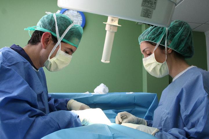 cirugía-veterinaria